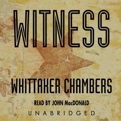 Witness Audiobook, by 