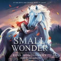 Small Wonder Audibook, by Ross Montgomery