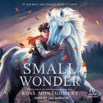 Small Wonder Audibook, by Ross Montgomery
