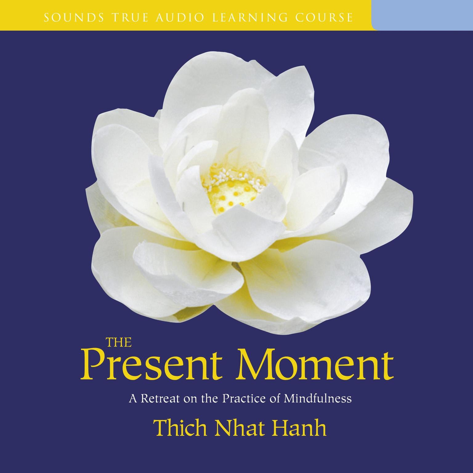 The Present Moment: A Retreat on the Practice of Mindfulness Audiobook, by Thich Nhat Hanh