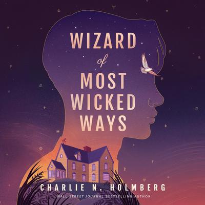 Wizard of Most Wicked Ways Audibook, by Charlie N. Holmberg