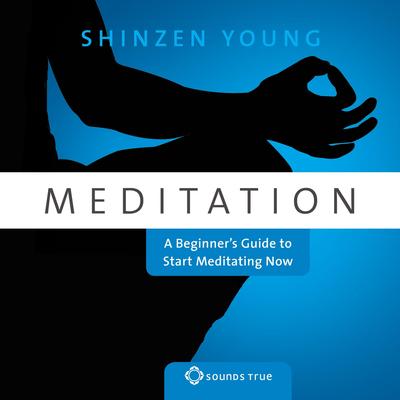 Meditation: A Beginner's Guide to Start Meditating Now Audibook, by Shinzen Young