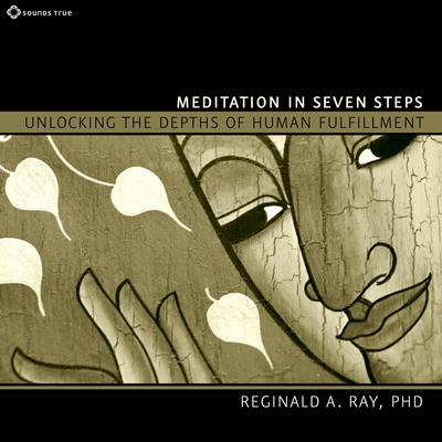 Meditation in Seven Steps: Unlocking the Depths of Human Fulfillment Audibook, by Reginald A. Ray