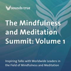 The Mindfulness and Meditation Summit: Volume 1: Inspiring Talks with Worldwide Leaders in the Field of Mindfulness and Meditation Audibook, by Jack Kornfield