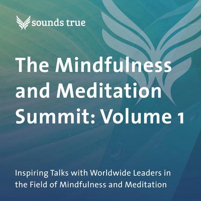The Mindfulness and Meditation Summit: Volume 1: Inspiring Talks with Worldwide Leaders in the Field of Mindfulness and Meditation Audibook, by Jack Kornfield