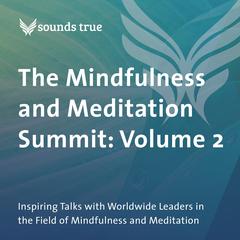The Mindfulness and Meditation Summit: Volume 2: Inspiring Talks with Worldwide Leaders in the Field of Mindfulness and Meditation Audibook, by Daniel Goleman