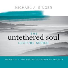 The Untethered Soul Lecture Series: Volume 11: The Unlimited Energy of the Self Audibook, by Michael Singer