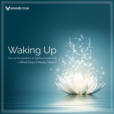 Waking Up: Over 30 Perspectives on Spiritual Awakening--What Does It Really Mean? Audibook, by various authors