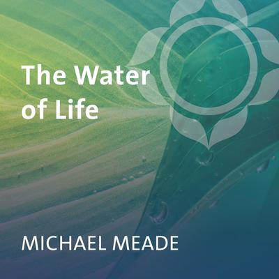 The Water of Life Audibook, by Michael Meade
