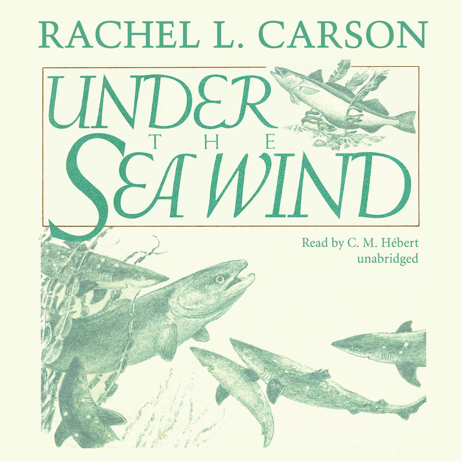 Under the Sea Wind: A Naturalist’s Picture of Ocean Life Audiobook, by Rachel L. Carson