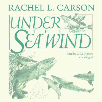 Under the Sea Wind: A Naturalist’s Picture of Ocean Life Audiobook, by Rachel L. Carson
