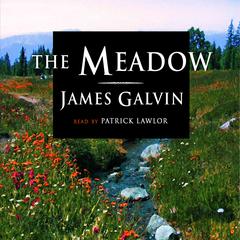 The Meadow Audiobook, by James Galvin