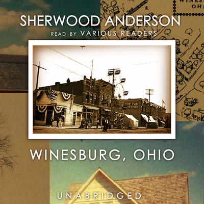 Winesburg, Ohio Audiobook, by Sherwood Anderson