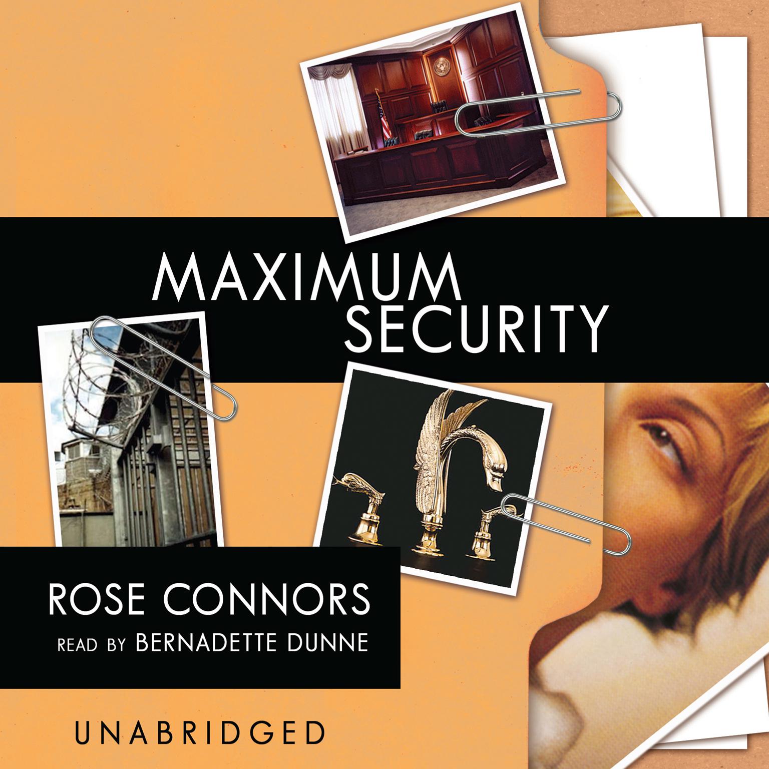 Maximum Security: A Mystery Audiobook, by Rose Connors
