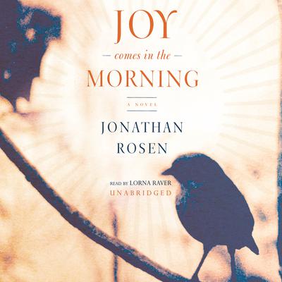 Joy Comes in the Morning Audiobook, by Jonathan Rosen