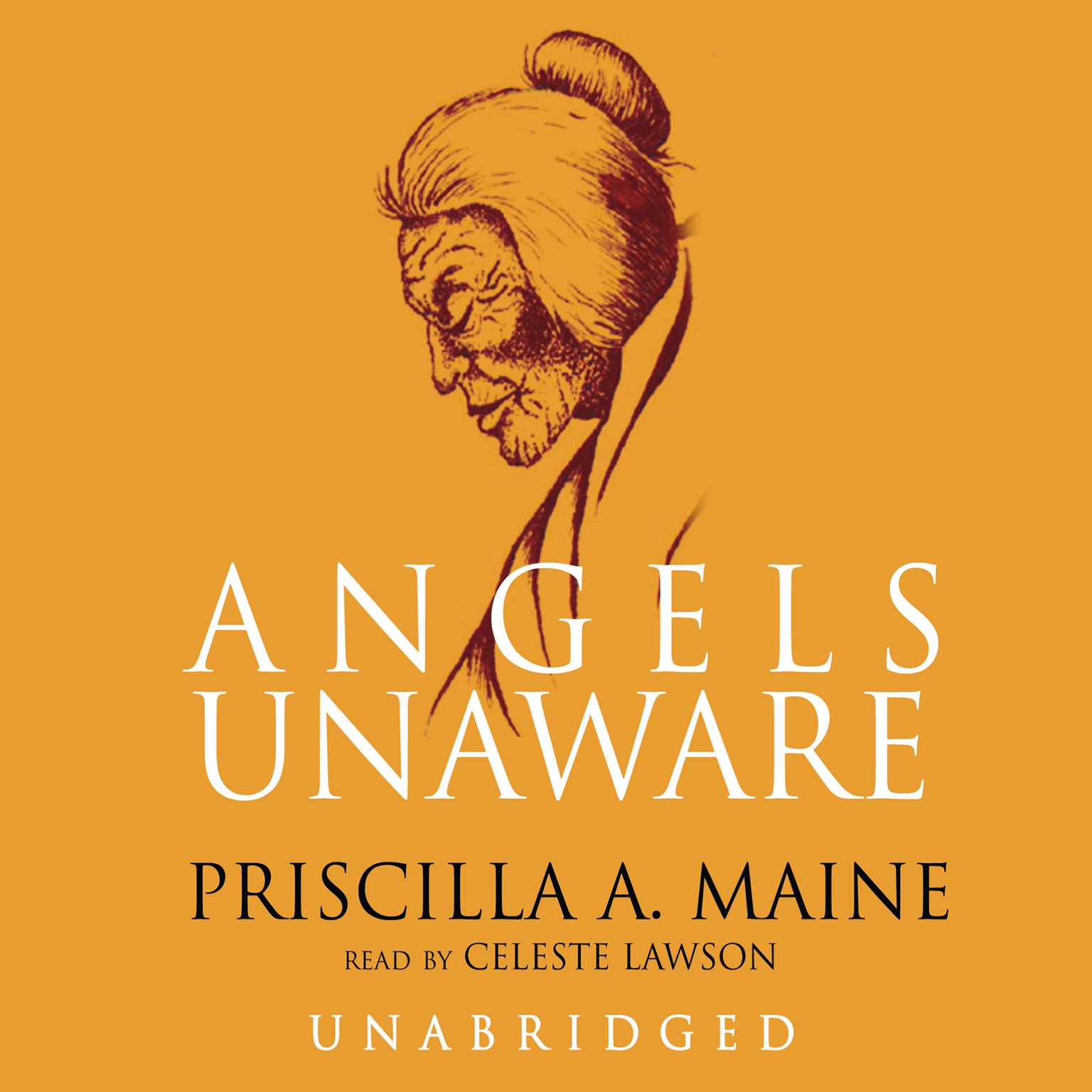 Angels Unaware Audiobook, by Priscilla A. Maine