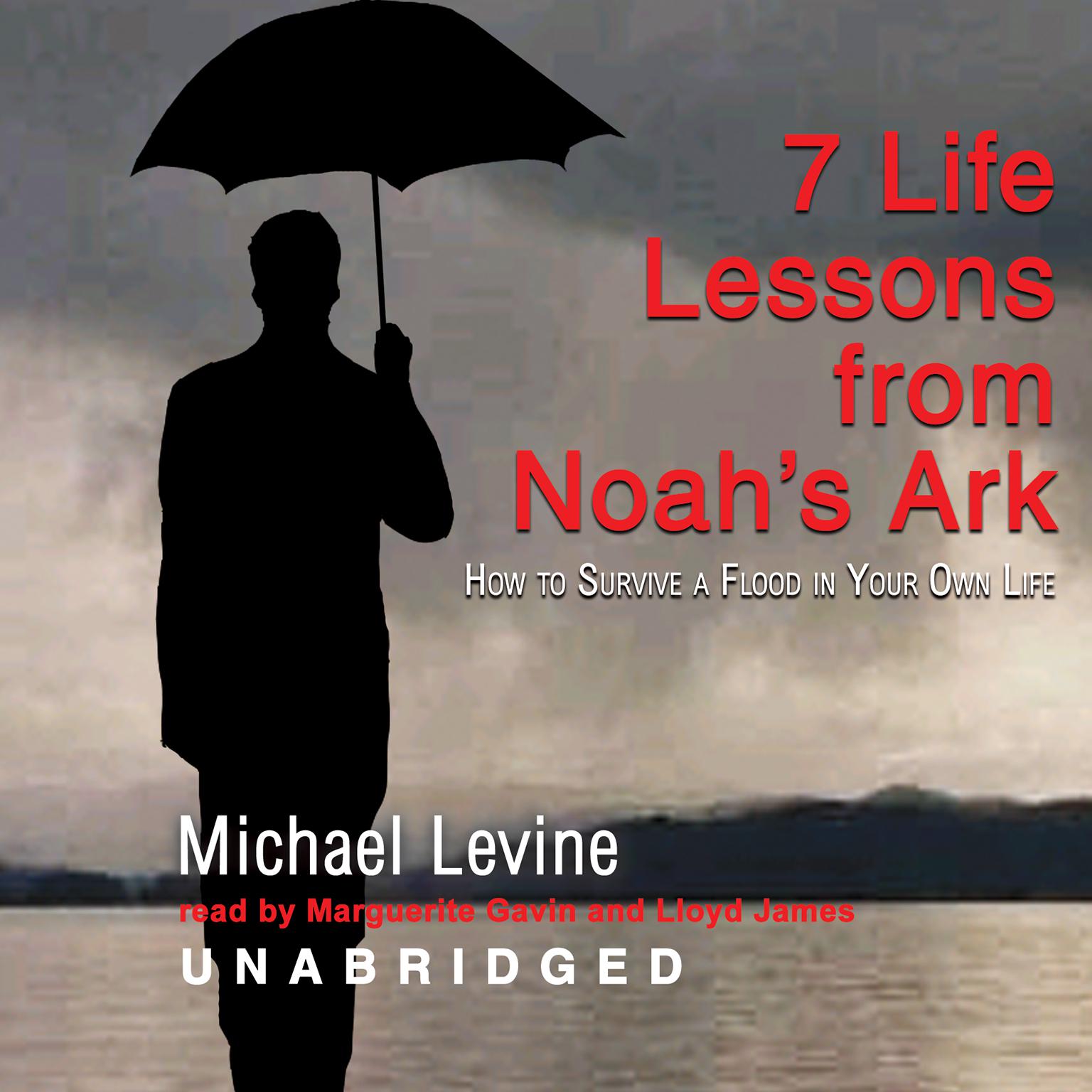 Seven Life Lessons from Noah’s Ark: How to Survive a Flood in Your Life Audiobook, by Michael Levine
