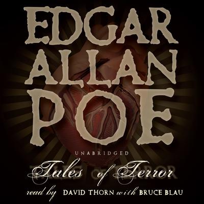 Tales of Terror Audiobook, by Edgar Allan Poe