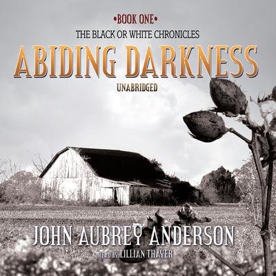 Abiding Darkness: A Novel Audiobook, by John Aubrey Anderson