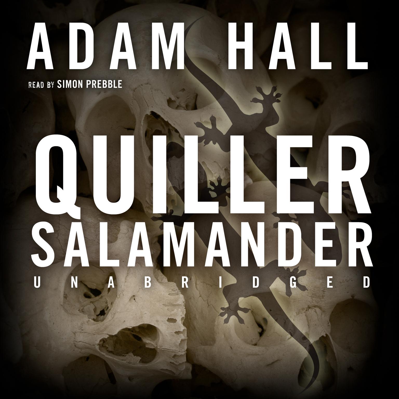 Quiller Salamander Audiobook, by Adam Hall