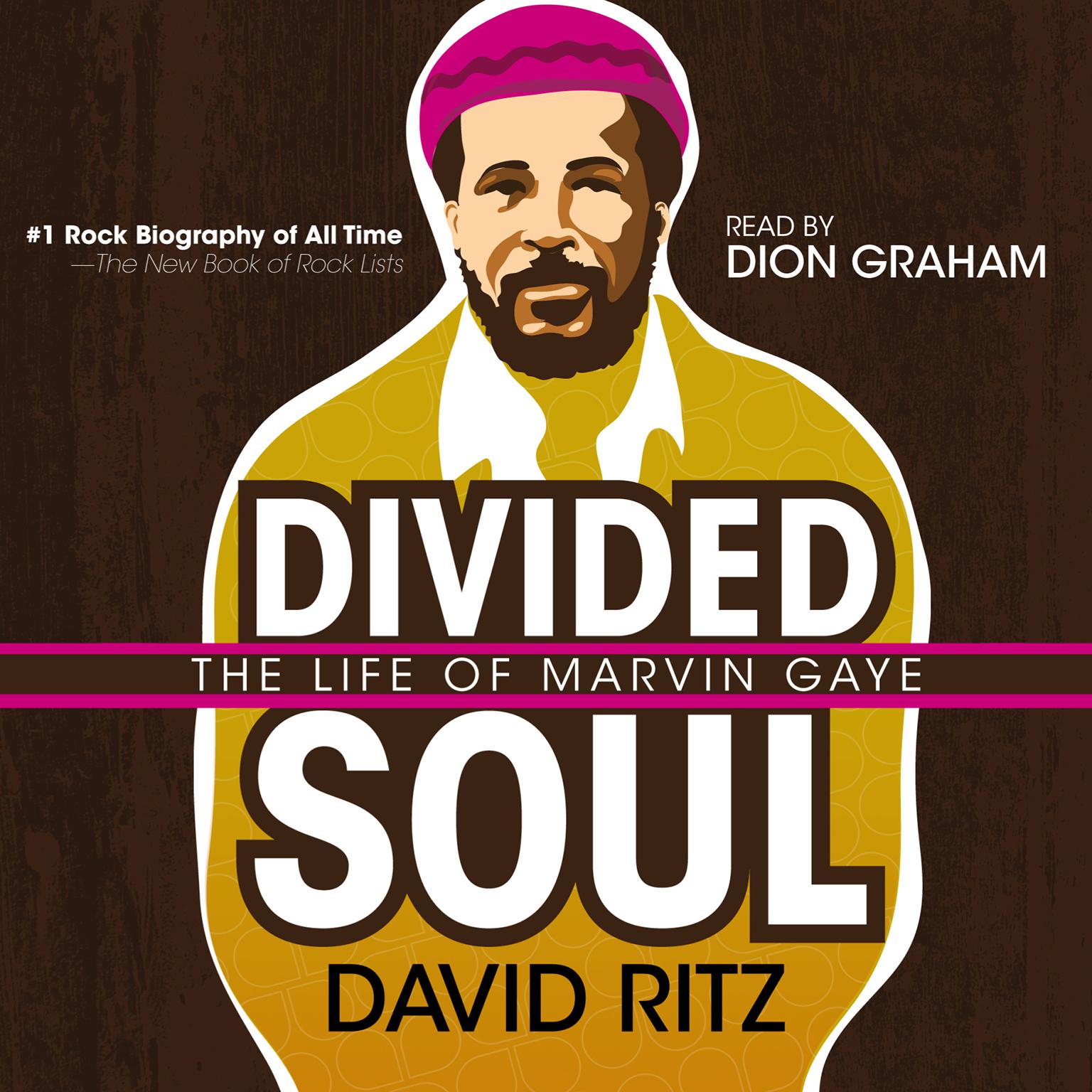 Divided Soul (Abridged): The Life of Marvin Gaye Audiobook, by David Ritz
