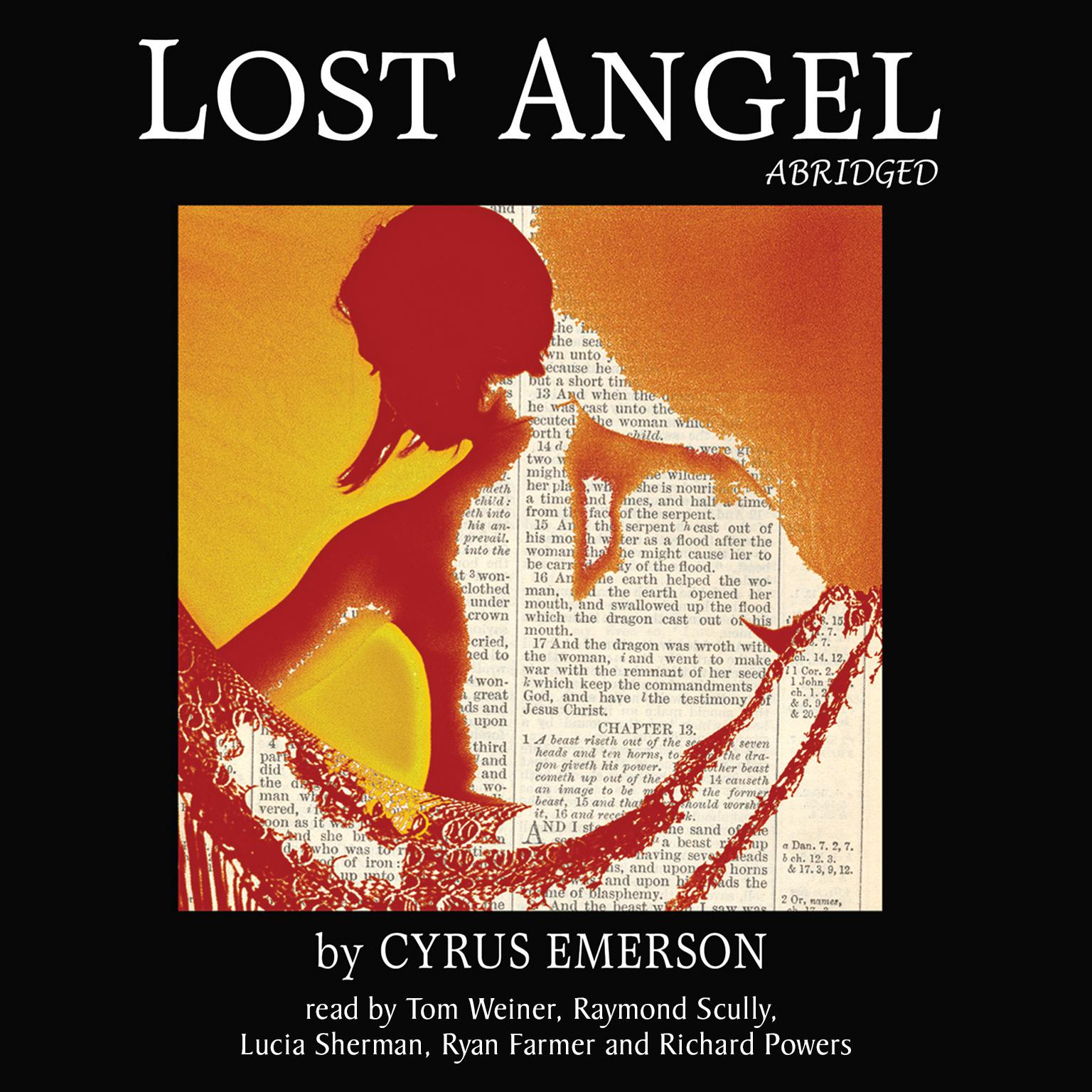 Lost Angel (Abridged) Audiobook, by Cyrus Emerson