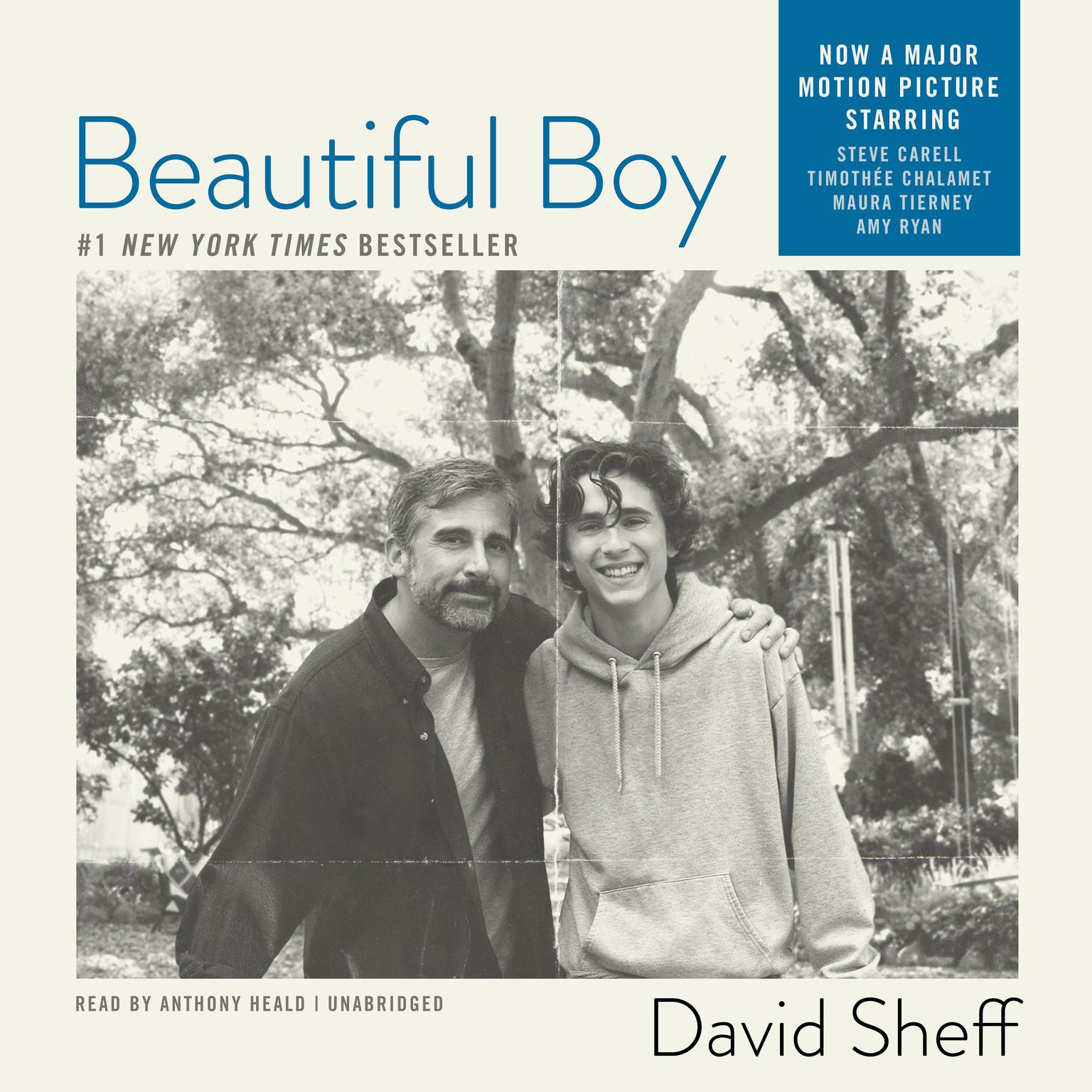 Beautiful Boy: A Father’s Journey through His Son’s Meth Addiction Audiobook, by David Sheff