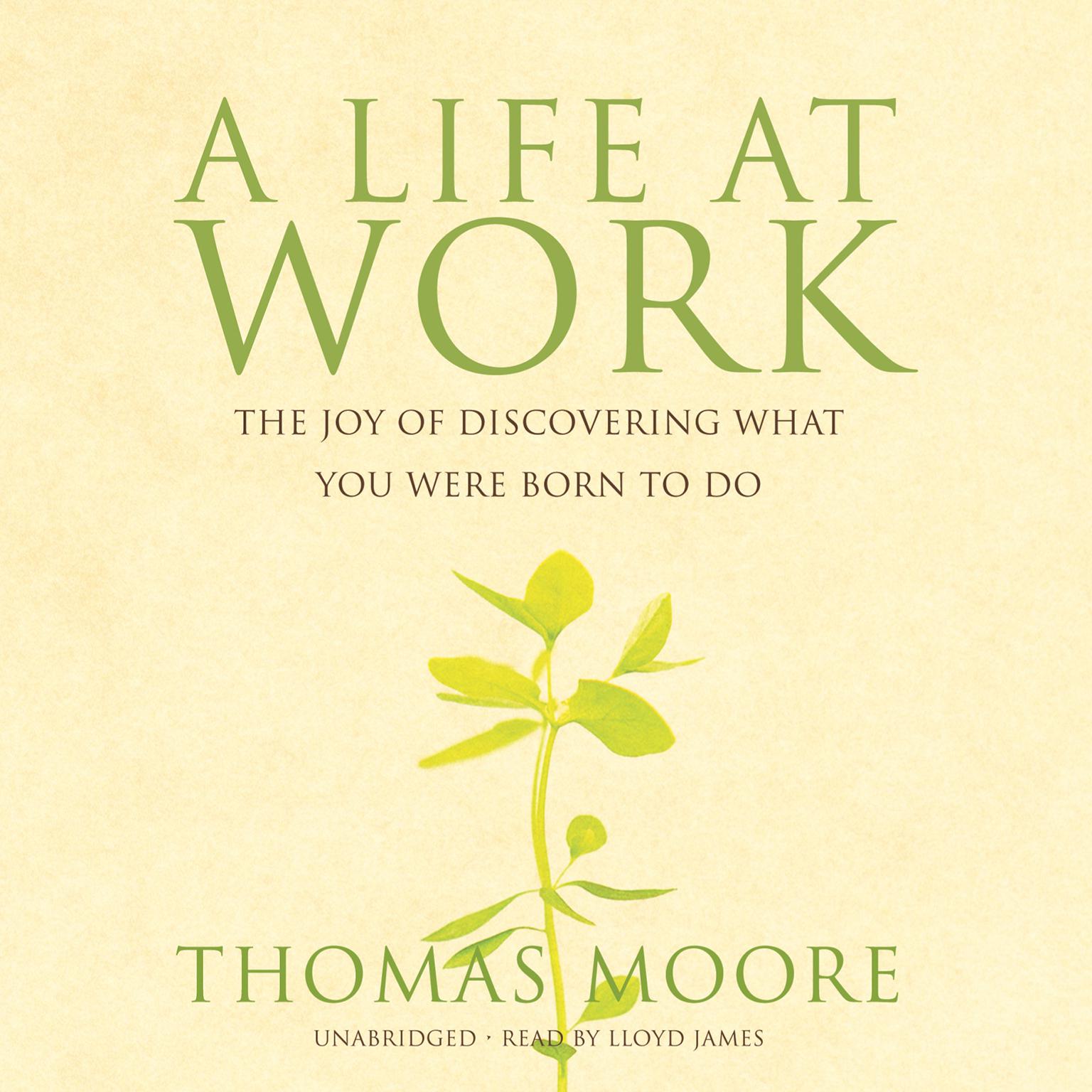 A Life at Work: The Joy of Discovering What You Were Born to Do Audiobook, by Thomas Moore