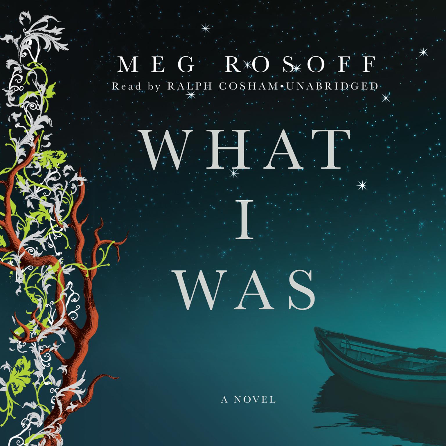 What I Was Audiobook, by Meg Rosoff