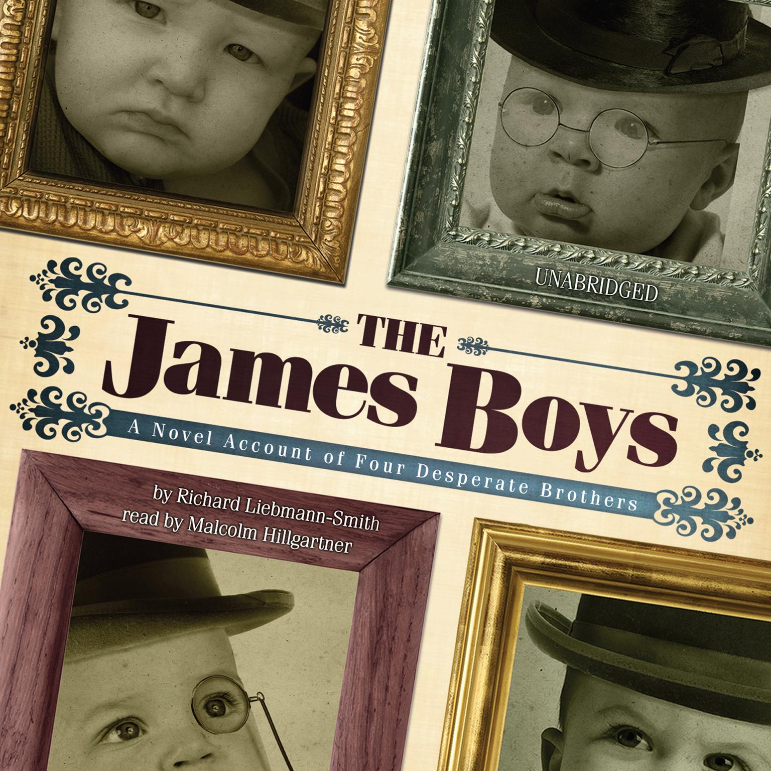 The James Boys: A Novel Account of Four Desperate Brothers Audiobook, by Richard Liebmann-Smith