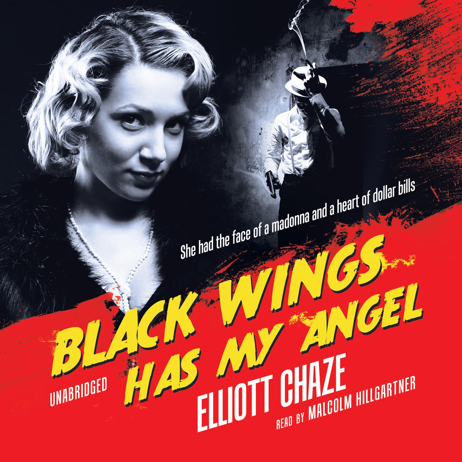 Black Wings Has My Angel Audiobook, by Elliott Chaze