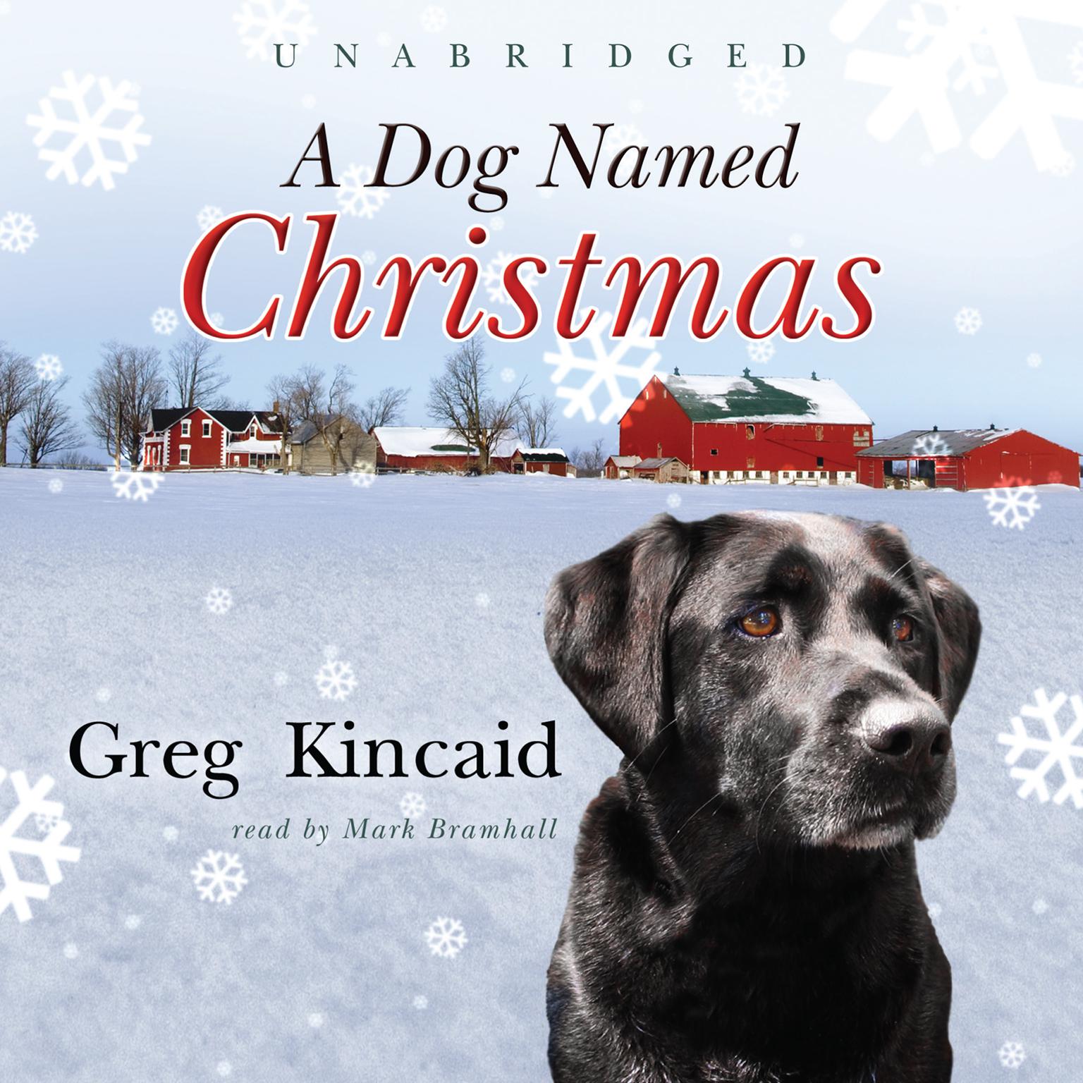 A Dog Named Christmas Audiobook, by Greg Kincaid