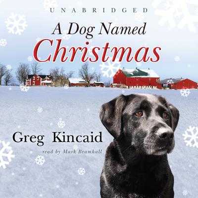 A Dog Named Christmas Audiobook, by Greg Kincaid