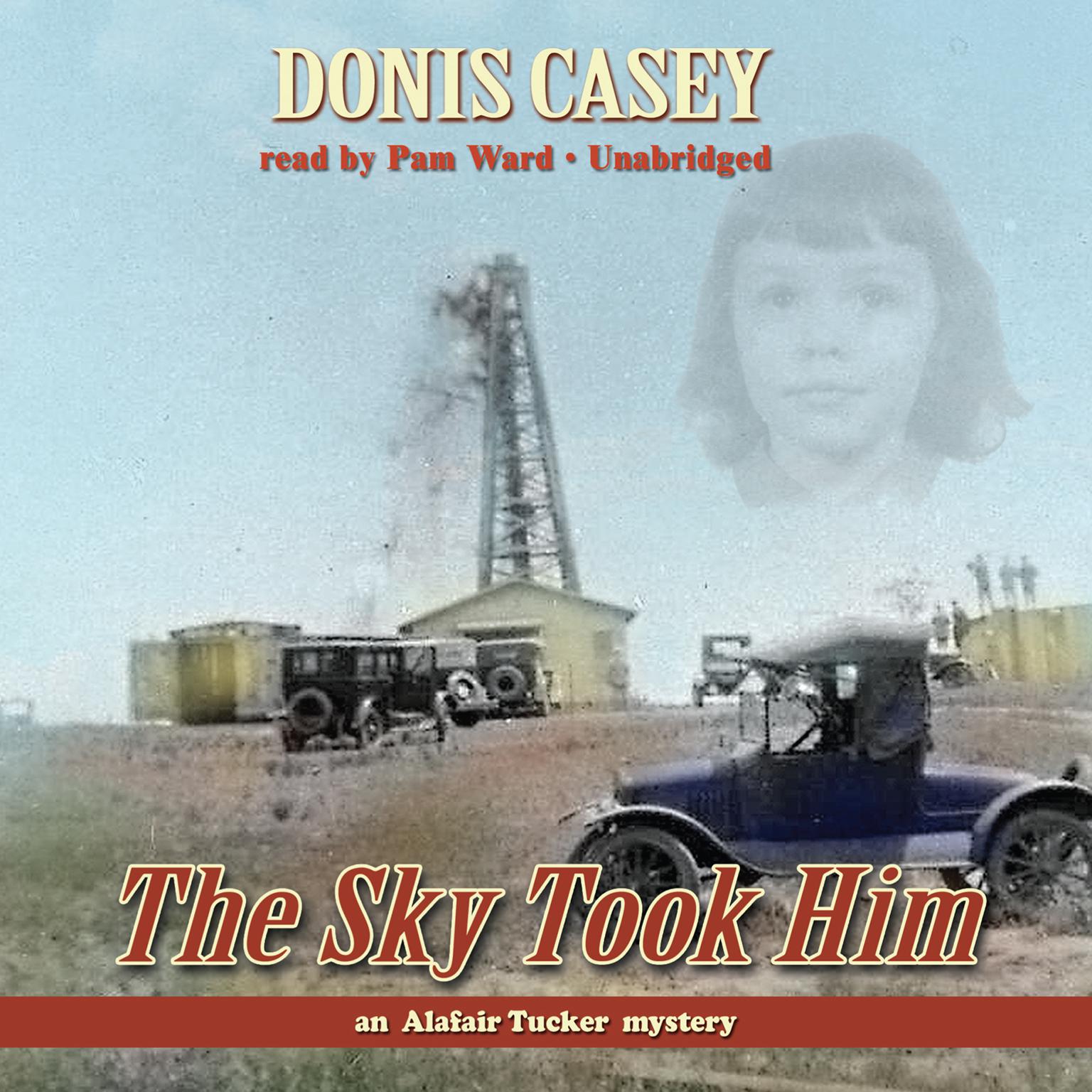 The Sky Took Him Audiobook, by Donis Casey
