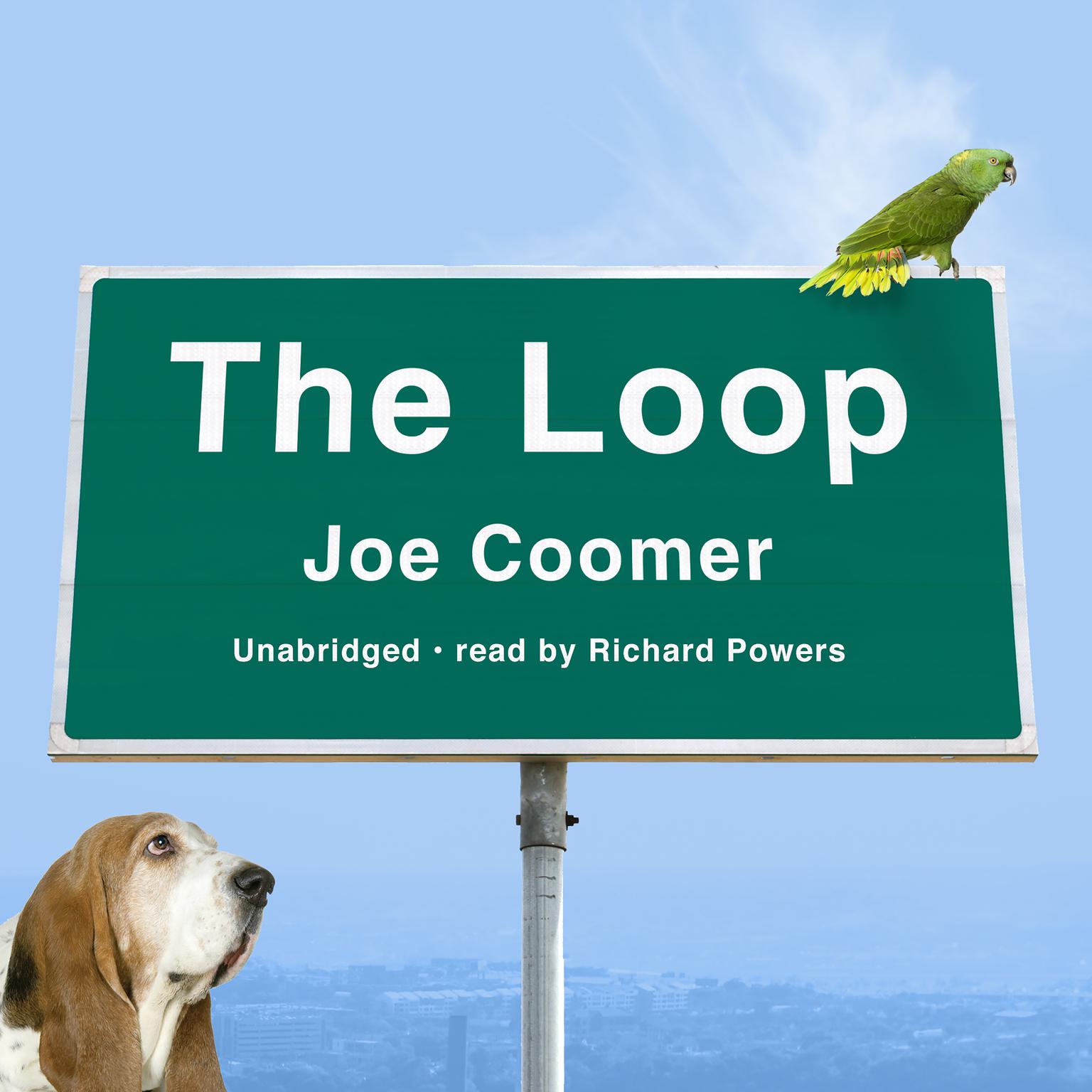 The Loop Audiobook, by Joe Coomer