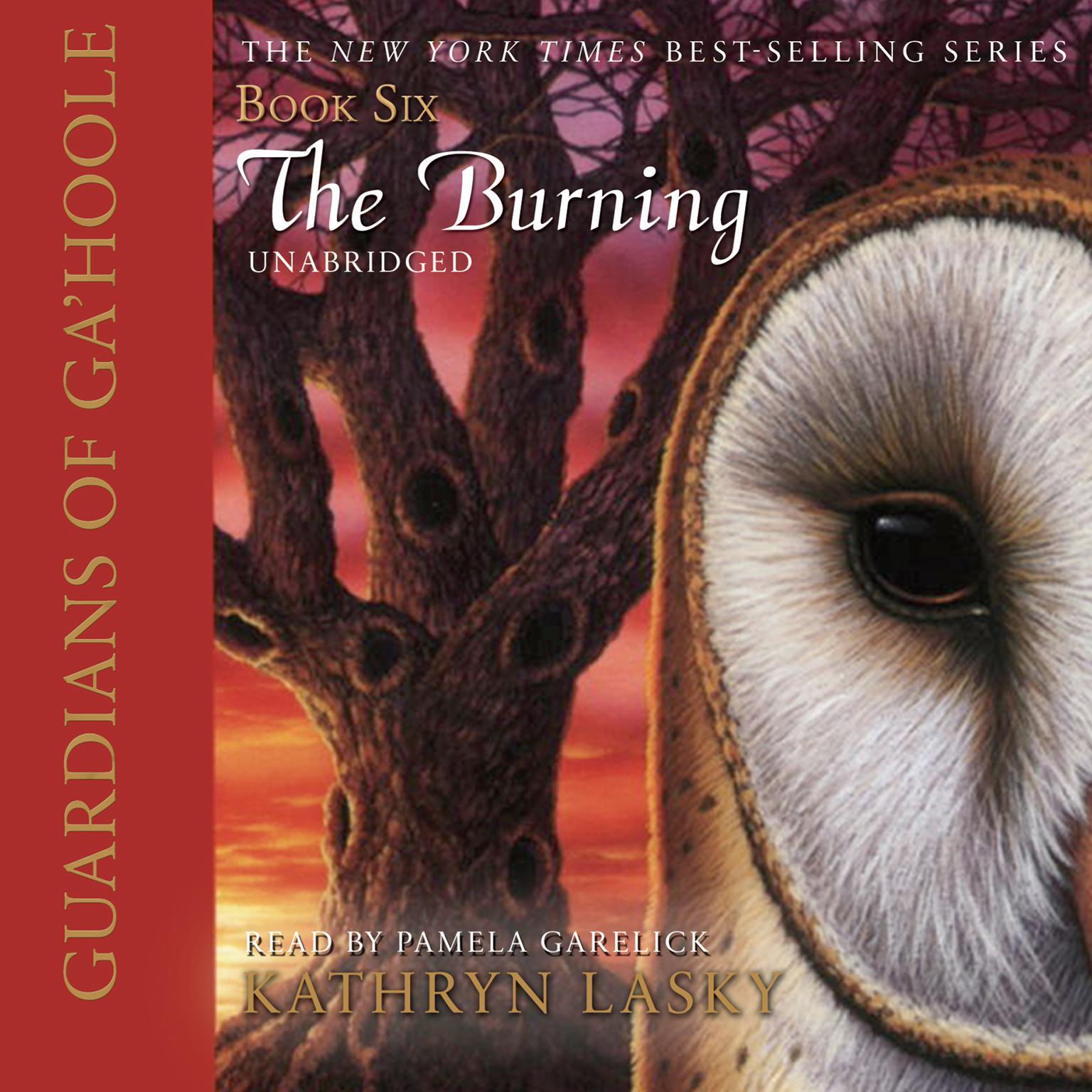 The Burning Audiobook, by Kathryn Lasky