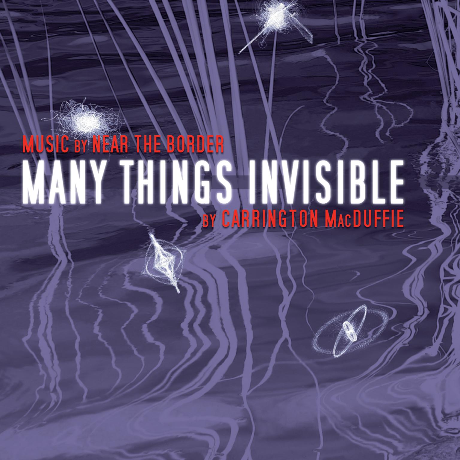Many Things Invisible Audiobook, by Carrington MacDuffie