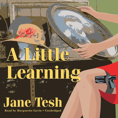 A Little Learning Audiobook, by Jane Tesh
