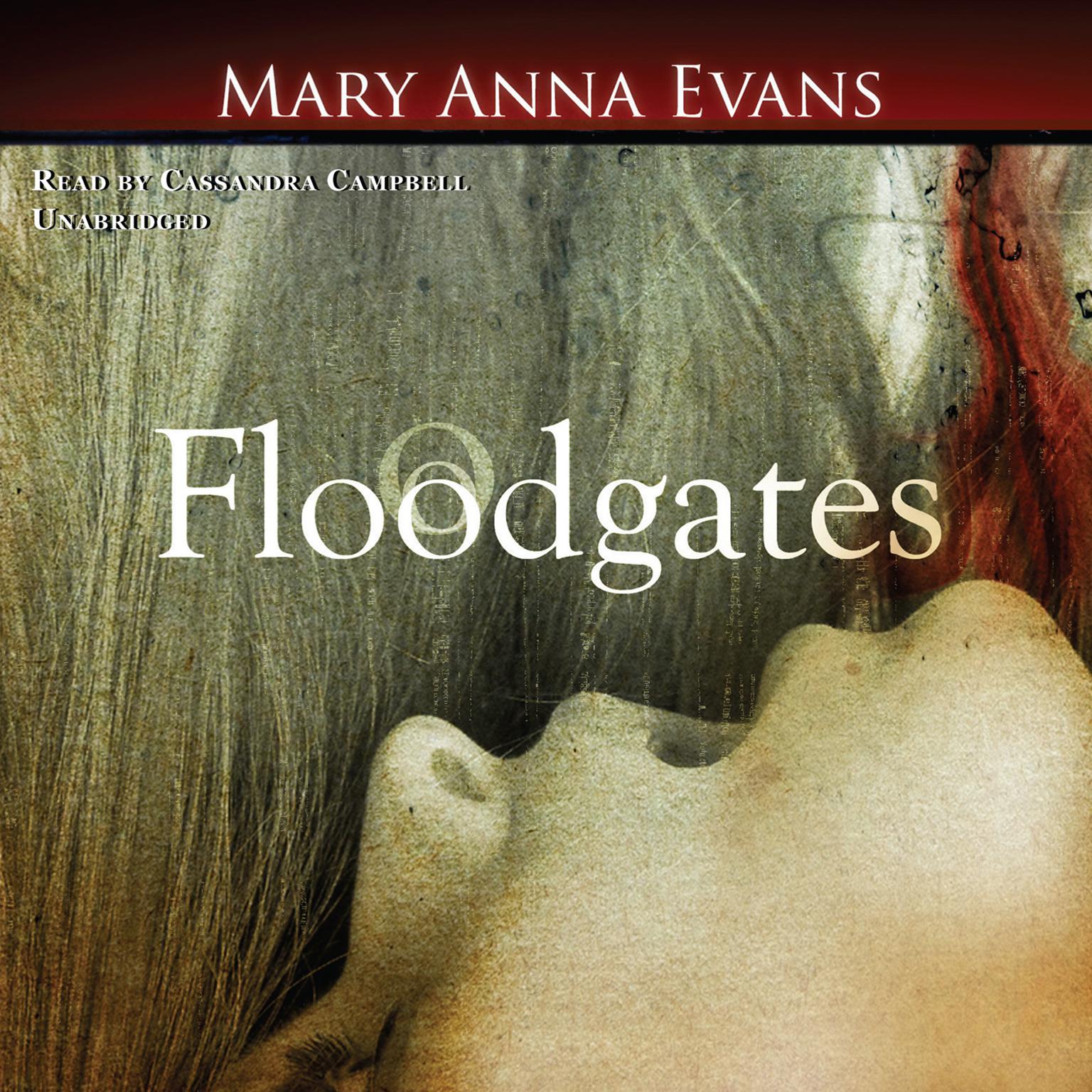 Floodgates Audiobook, by Mary Anna Evans