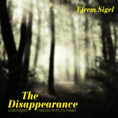 The Disappearance Audiobook, by Efrem Sigel
