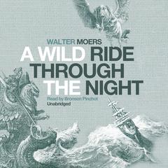 A Wild Ride through the Night Audiobook, by Walter Moers