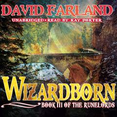 Wizardborn Audiobook, by David Farland
