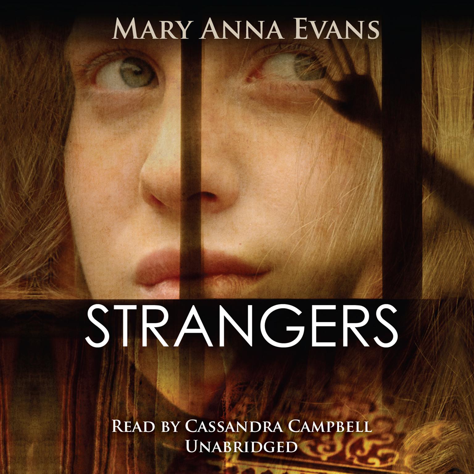 Strangers: A Faye Longchamp Mystery Audiobook, by Mary Anna Evans