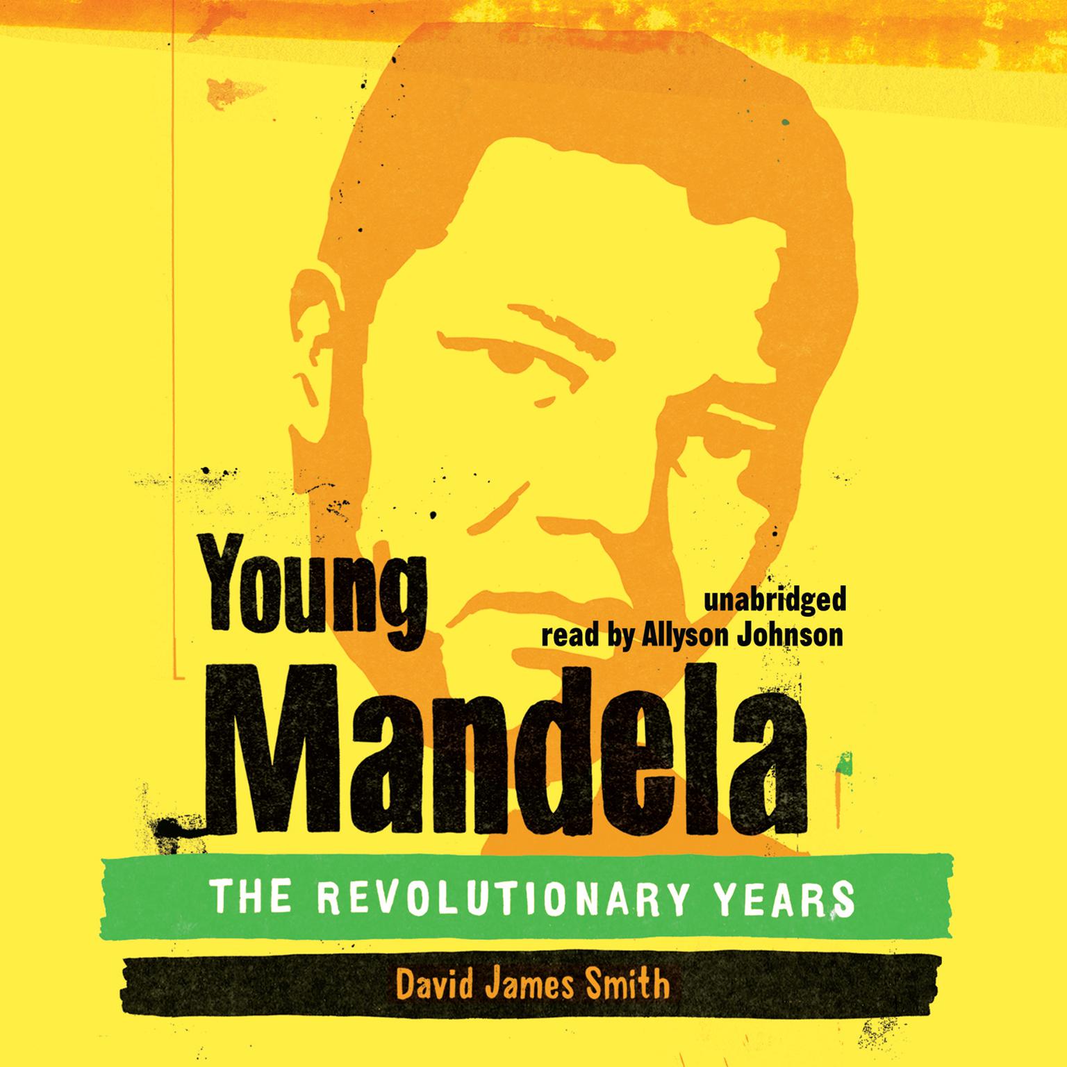 Young Mandela: The Revolutionary Years Audiobook, by David James Smith