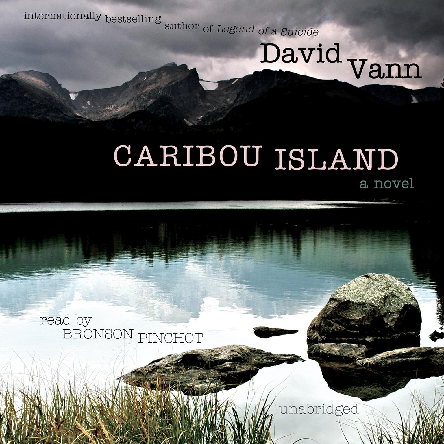 Caribou Island Audiobook, by David Vann