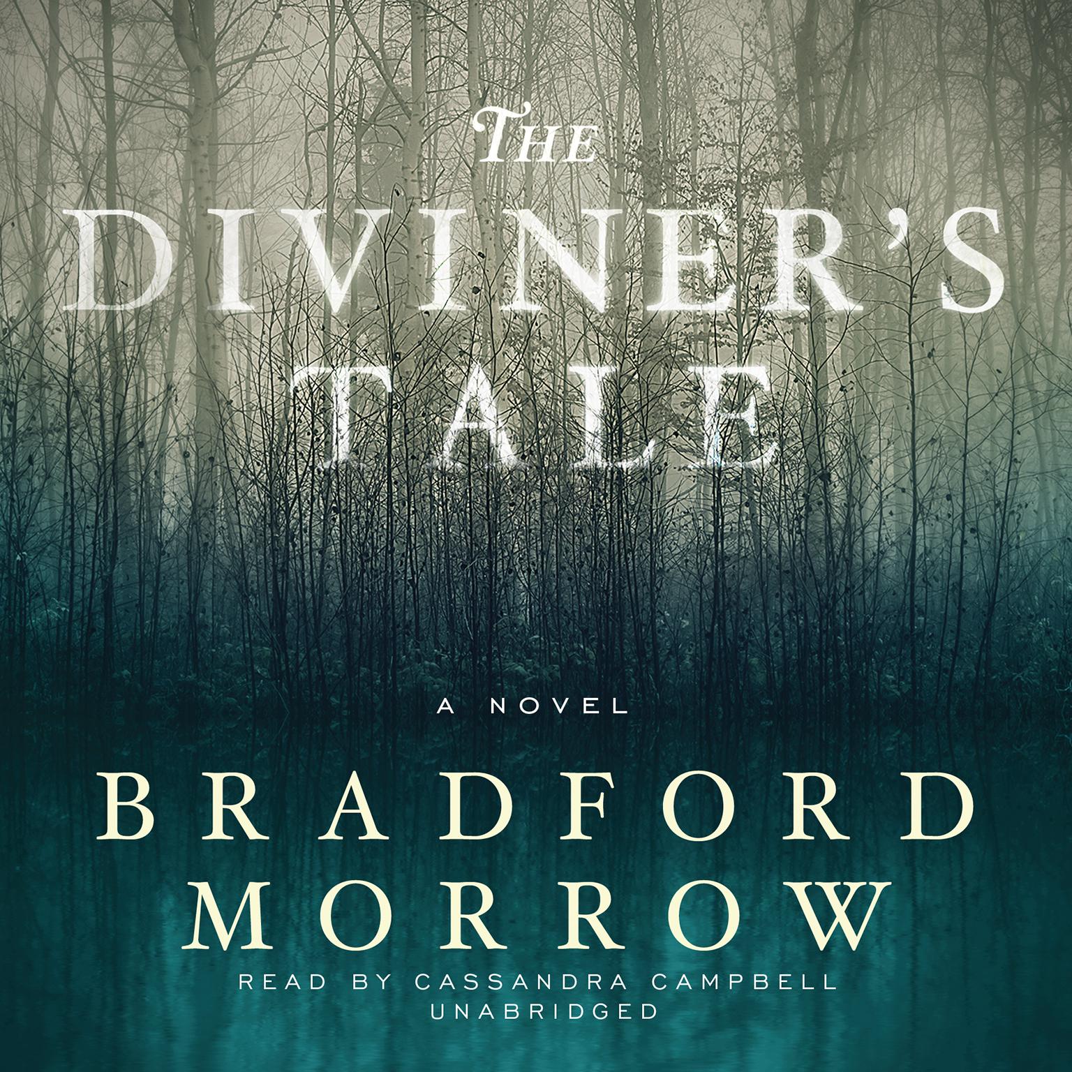 The Diviner’s Tale Audiobook, by Bradford Morrow