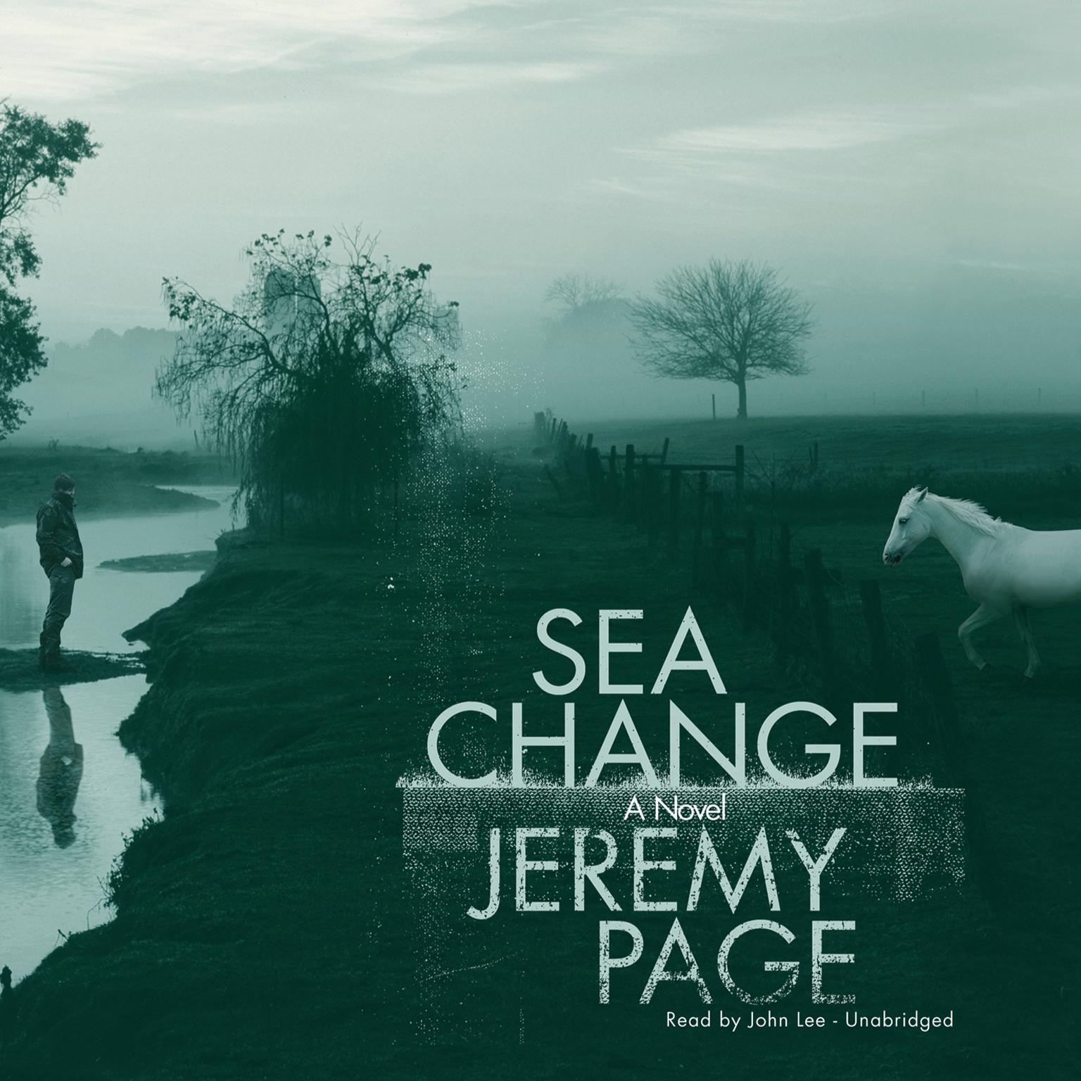 Sea Change: A Novel Audiobook, by Jeremy Page