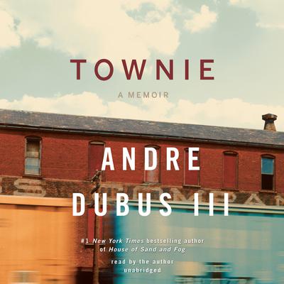 Townie: A Memoir Audiobook, by 