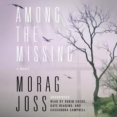 Among the Missing: A Novel Audiobook, by Morag Joss