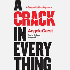 A Crack in Everything: A Susan Callisto Mystery Audiobook, by Angela Gerst